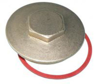 Picture of Immersion htr plug & washer brass 2.1/4"