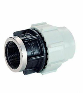 Picture of  Plasson  Female Adaptor - 25 x 3/4" - 070300025007